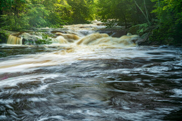 Rushing River in the Woods