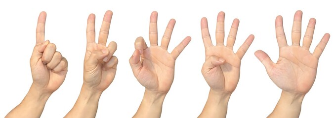 Hand showing one to five on transparent background cutout, PNG file. Mockup template for artwork...