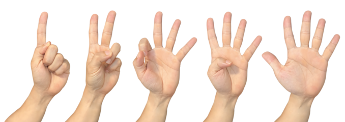 Hand showing one to five on transparent background cutout, PNG file. Mockup template for artwork design. Number sign gestures concept

