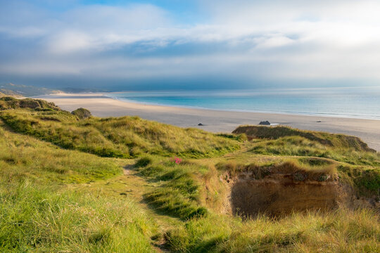 Gwithian beach Cornwall. Beautiful grassland on top of the cliff