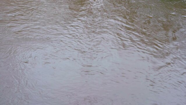 A close-up view of the rippling and murky water on the White Lada River.