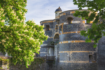 In the historic centre of Angers - obrazy, fototapety, plakaty