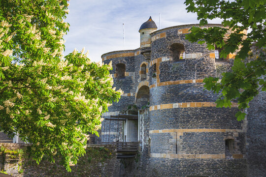 In the historic centre of Angers