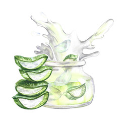Glass jar with aloe gel. Crushed pieces and aloe juice. Cosmetic. Watercolor hand drawn illustration. For labels and packaging of cosmetology, perfumery and medicine. For stickers and prints.