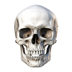 Scary human skull, isolated on transparent background png (Generative Ai)