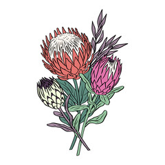 Colorful tropical protea flowers and leaves bouquet. Boho floral composition