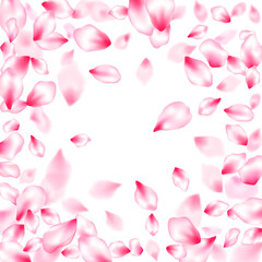 Japanese cherry blossom pink flying petals