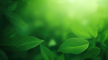 Green leaves eco-friendly background with place for text. Concept of ecology and healthy environment