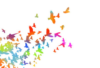 A flock of flying colored birds. Vector illustration