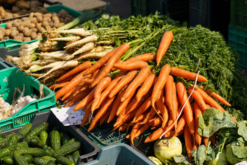 Showcase on which lies carrots, cucumbers, celery, top view.