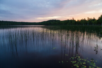 Lake in the forest in Latgale region, Latvia. Sunset, reflection. Wallpaper, background