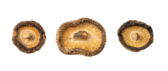 Dry Shiitake Mushrooms Isolated, Raw Shitake Pile, Healthy Organic Asian Fungi