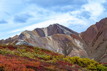 Colorful tundra backed by mountains under a partly cloudy blue sky in Denali National Park