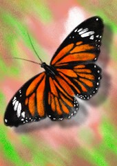Butterflies, hand drawn digital drawing of butterflies imitating the texture and colors of crayons, hand drawn illustration.