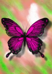 Butterflies, hand drawn digital drawing of butterflies imitating the texture and colors of crayons, hand drawn illustration.