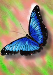 Butterflies, hand drawn digital drawing of butterflies imitating the texture and colors of crayons, hand drawn illustration.