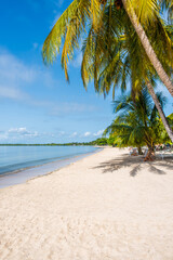 The beach at Playa Larga on the Zapata Peninsula in Cuba - 624539886