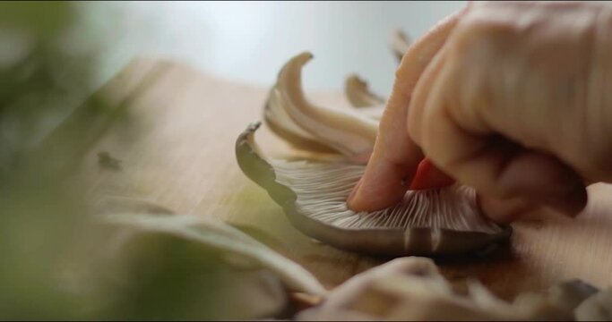 oyster mushroom chopped on cutting board