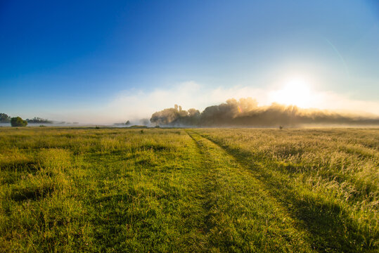 The road through the field with grass and fog at dawn © Syoma Barva