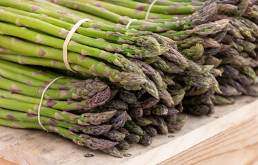 Fresh raw green asparagus vegetables in french Provencal farmers in Arles, France