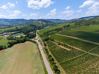 Vineyards of Maconnaise regional appellation, wine making in Burgundy near Macon, France