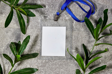 Blank badge mockup. Plain empty name tag mock up hanging on neck with string with ruscus leaves. Name tag with blue ribbon and transparent plastic paper holder. Corporate design