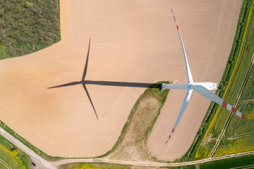 Wind turbine in the field © Krzysztof