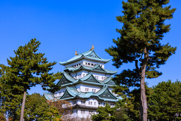 秋の名古屋城天守閣　愛知県名古屋市
