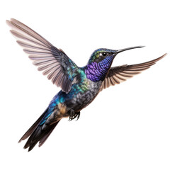 Obraz premium an oasis hummingbird (Rhodopis vesper )in-flight, wings spread a side view in a Nature-themed, photorealistic illustration in a transparent PNG, cutout, and isolated. Generative AI