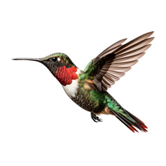 Fototapeta premium a Ruby-Throated Hummingbird in flight, iridescent feathers a summer jewel in a Nature-themed, photorealistic illustration in a PNG, cutout, and isolated. Generative AI