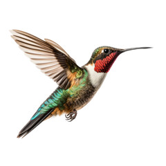 Obraz premium a Ruby-Throated Hummingbird in flight, iridescent feathers a summer jewel in a Nature-themed, photorealistic illustration in a PNG, cutout, and isolated. Generative AI