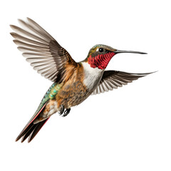Obraz premium a Ruby-throated hummingbird in-flight, side view in a PNG, Nature-themed, isolated, and transparent photorealistic illustration. Generative ai