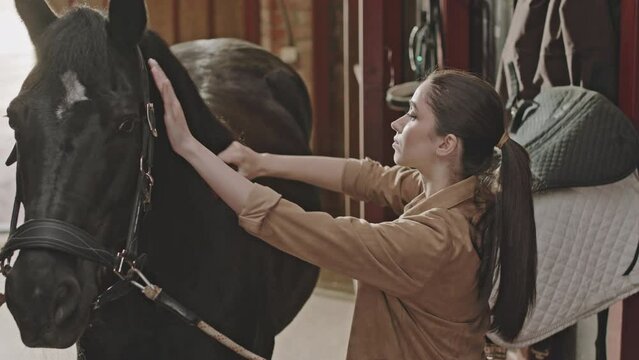 Young woman grooming horse with brush while taking care of animals in stable on farm
