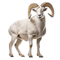 a Dall Sheep (Ovis dalli dalli) ram with full curl, in motion, running jumping in a Wildlife-themed, photorealistic illustration in a PNG, cutout, and isolated. Generative AI