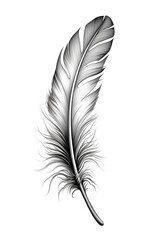 feather isolated on white background. generative ai