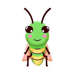 Caeliferra, Delightful Caeliferra Graphic for Insect and Bug Concepts