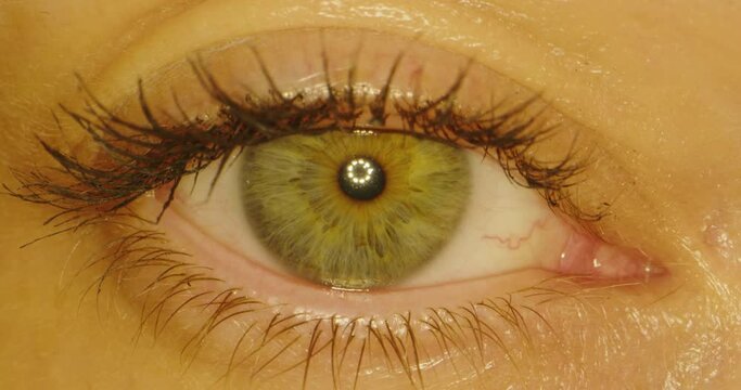 Close up of woman girl eye with long eyelashes, Beautiful green Eye of Young Woman Opening Up And Closing.