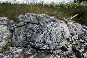 Texture gray striped stone on grass background, rocky coast of Scandinavia