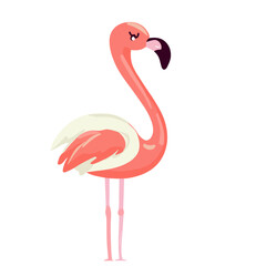 Flamingo, Graceful Flamingo Graphic for Tropical and Bird Concepts