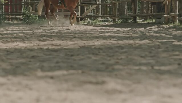 Low section shot of legs of horse running on outdoor arena with rider in saddle