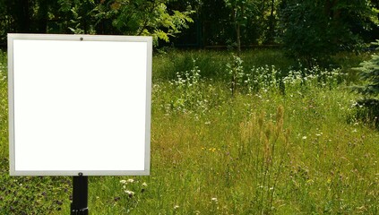 Used empty information board for text against the background of a summer garden prepared for the video