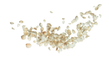 Seashell fall splashing in air. sea shell explosion flying, abstract cloud fly. Many Small white Seashell scatter in many group. White background isolated high speed shutter freeze motion