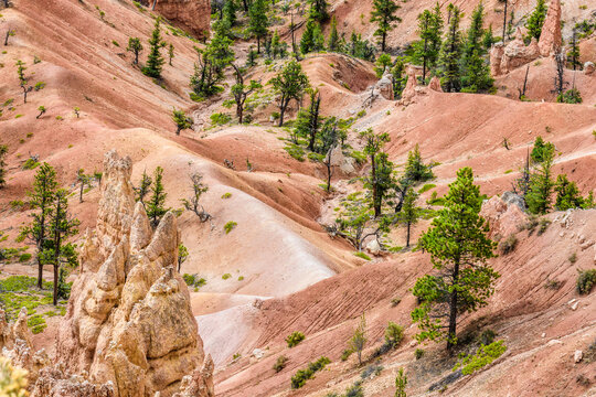 Aerial View of Bryce Canyon Hiking Trails.