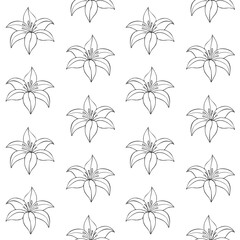 Vector seamless pattern of hand drawn doodle sketch Lilly flower isolated on white background