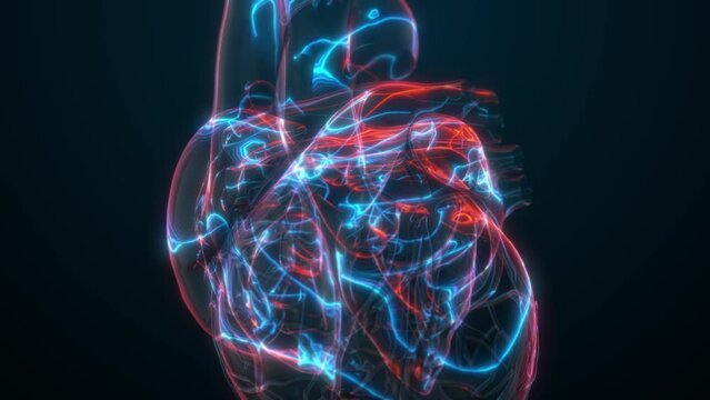 Heart disease scan risk factors obesity, high blood pressure, diabetes