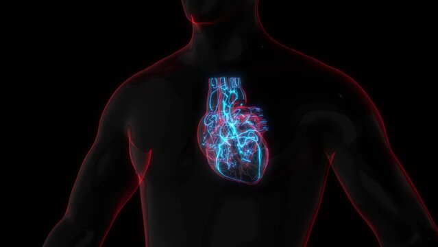 Scan Heart disease awareness regular check-ups scan, screenings, and heart-healt