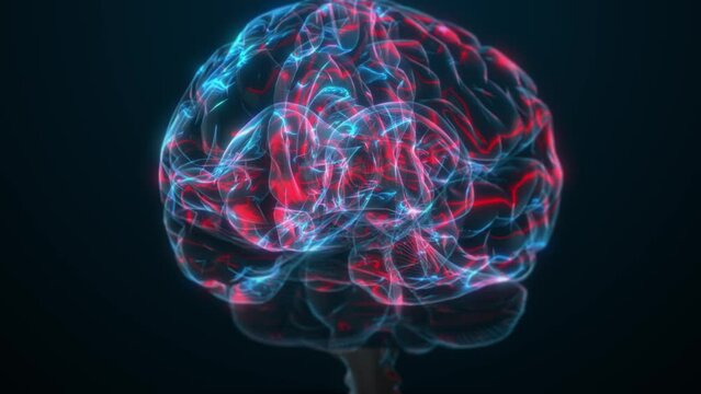 Brain scan identifies tumor, guiding surgeons for effective interventions