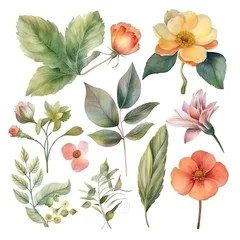 Behang set of separate parts of flowers in watercolors © GenerativeBackground