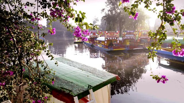 Colorful trajinera boats at canal and chinampa system in Xochimilco an the sunrise, area’s pre-Hispanic past in the Valley of Mexico. Pier of Nativitas