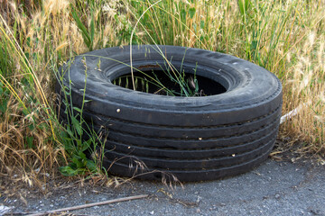 Old abandoned overgrown Tire, Tyre Rubber Wheel of a Truck trown away and damaged worn by the road in Wheat Field in Eastern Europe. Trash Rubble, Environment Pollution